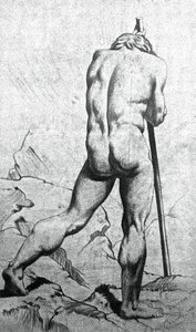 Akadémiai tanulmány - Nu Masculino